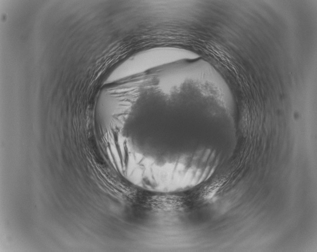 X0000058140367200510171408