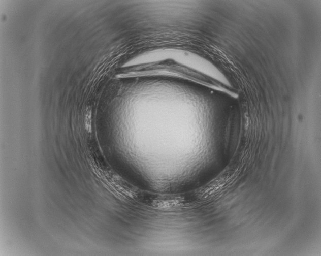 X0000058140368200510171408