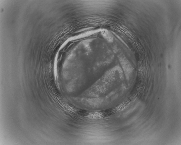 X0000058140369200510171408