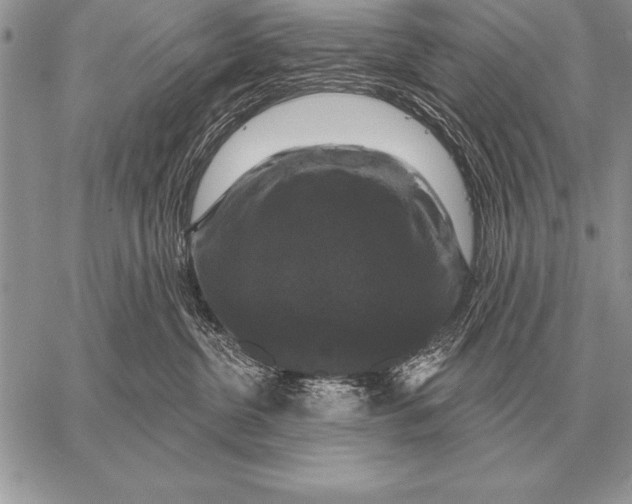 X0000058140380200510171408