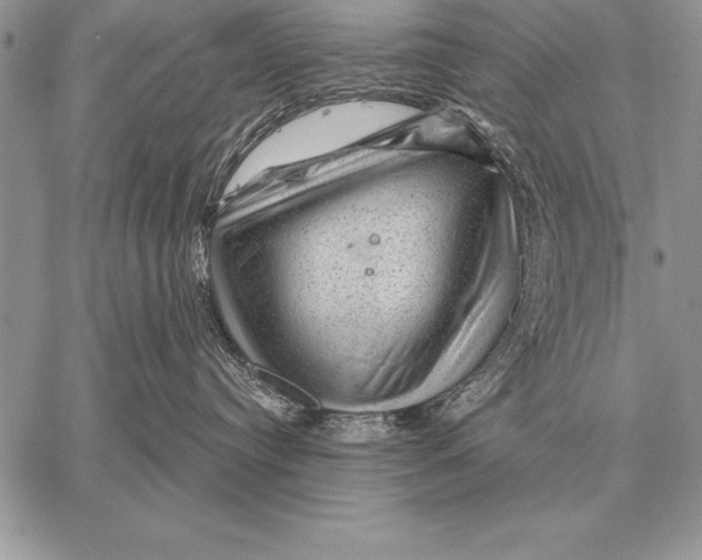 X0000058140384200510171408