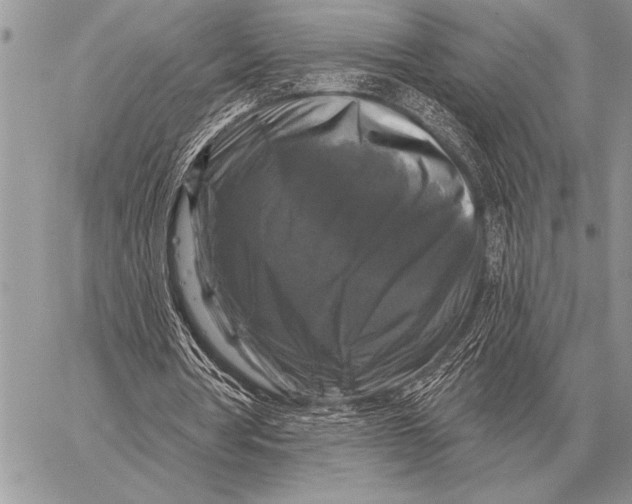 X0000058140386200510171408
