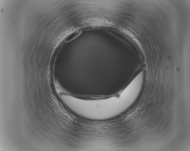 X0000058140391200510171408