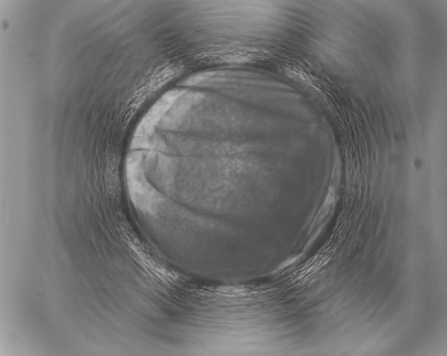 X0000058140394200510171407