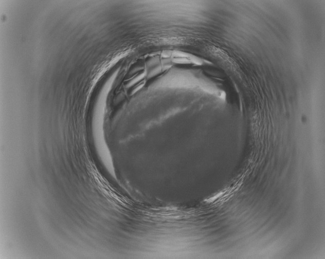 X0000058140395200510171407