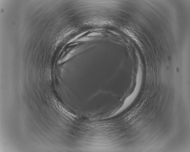 X0000058140399200510171407
