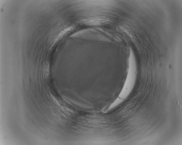 X0000058140400200510171407
