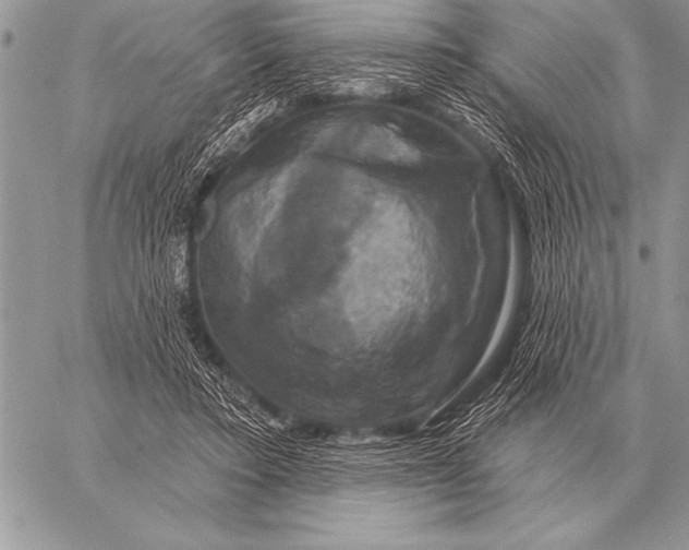 X0000058140403200510171407