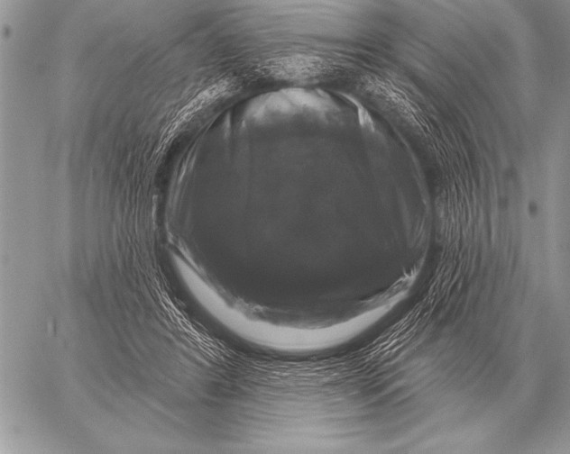 X0000058140404200510171407