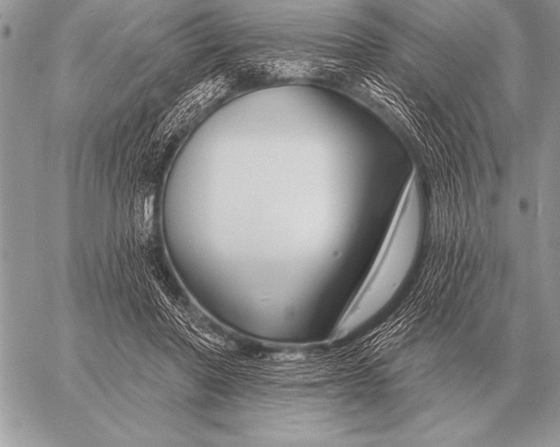 X0000058140406200510171407