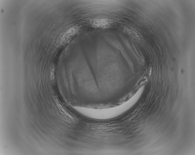 X0000058140408200510171407
