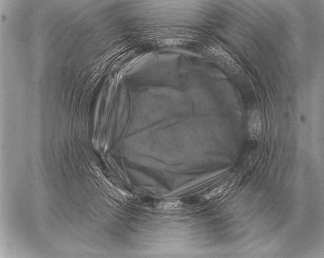 X0000058140410200510171407
