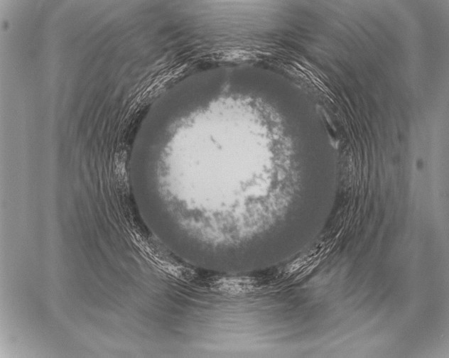 X0000058140415200510171407