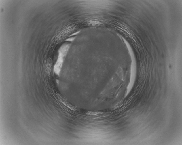 X0000058140417200510171407