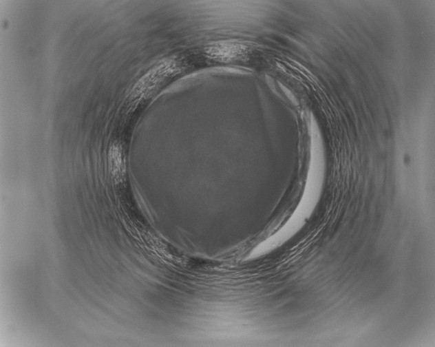 X0000058140420200510171407