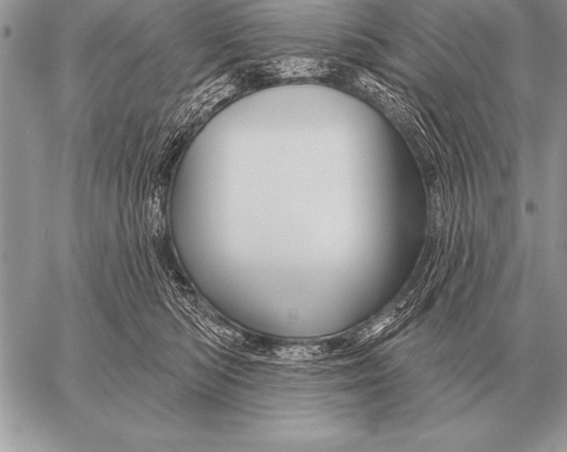 X0000058140422200510171407