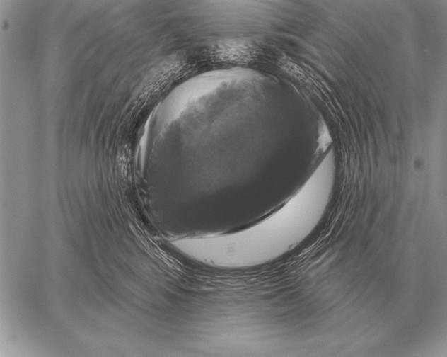 X0000058140424200510171407