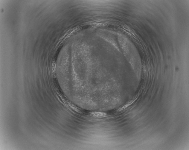 X0000058140429200510171407