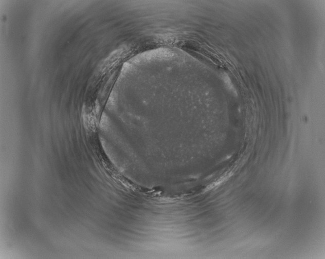 X0000058140432200510171407
