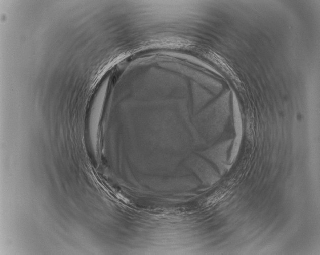 X0000058140434200510171406