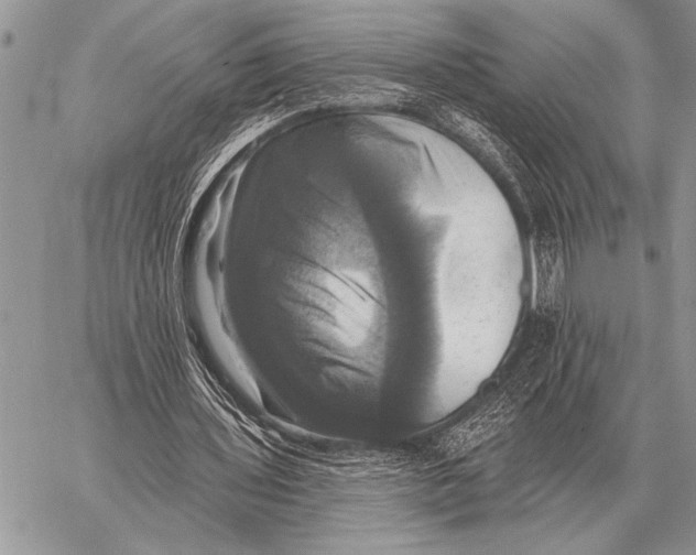 X0000058140435200510171406
