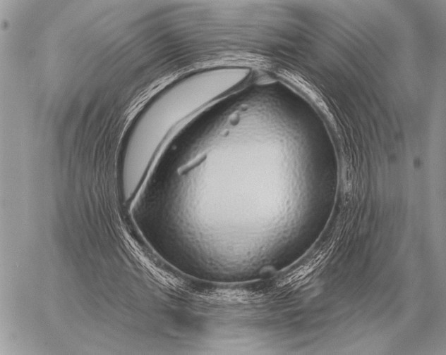 X0000058140437200510171406