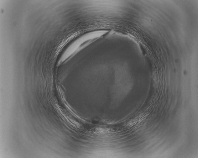 X0000058140442200510171406