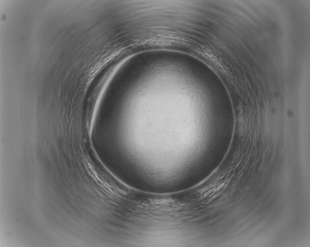 X0000058140446200510171406