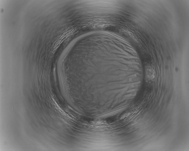 X0000058140451200510171406