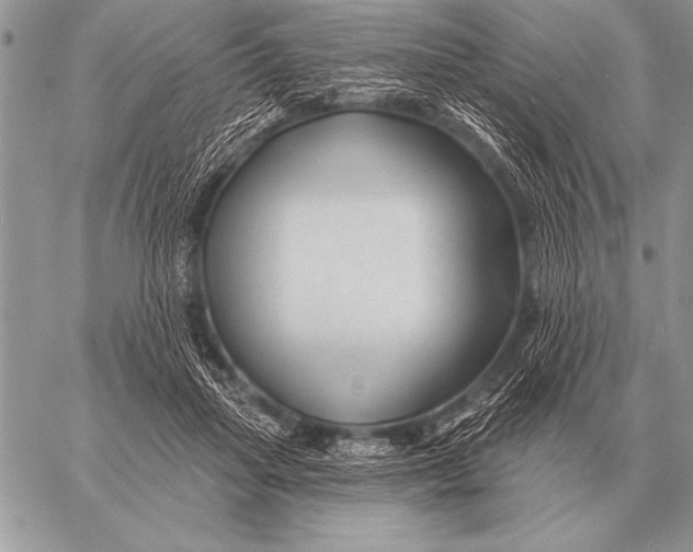 X0000058140455200510171406