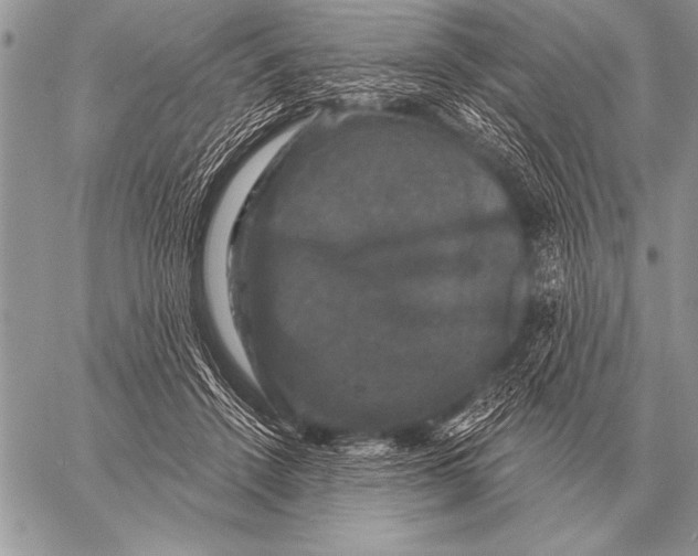 X0000058140456200510171406