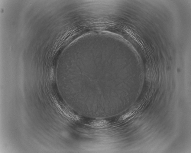 X0000058140459200510171406