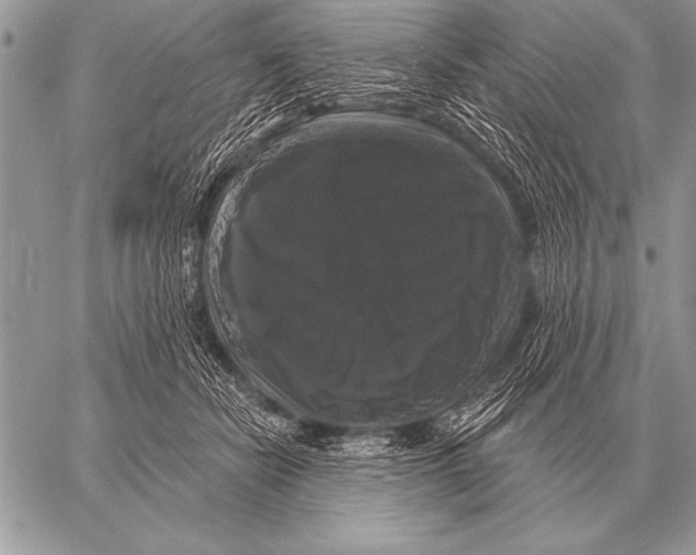 X0000058140462200510171407