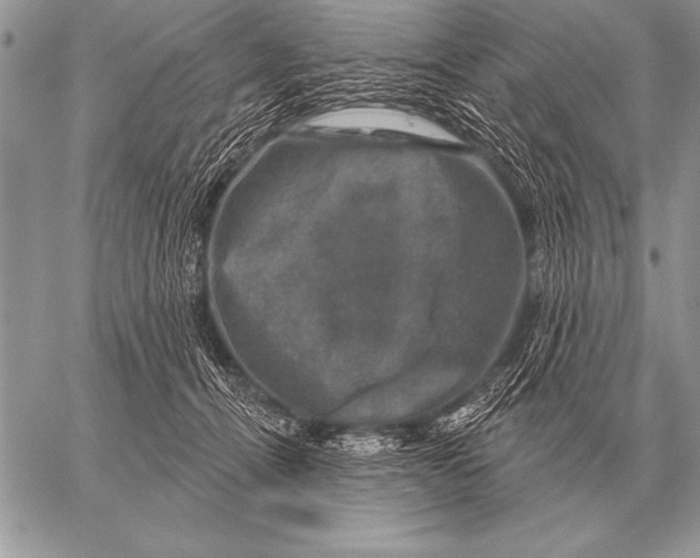 X0000058140464200510171407