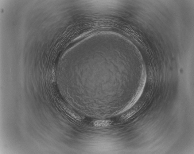 X0000058140465200510171407