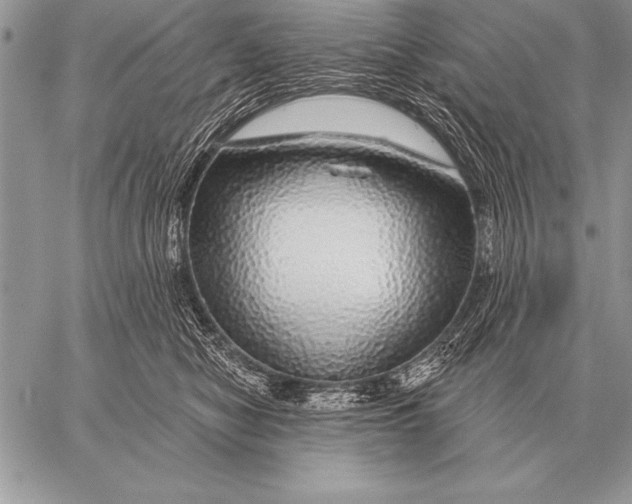 X0000058140470200510171407