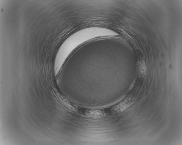 X0000058140475200510171407