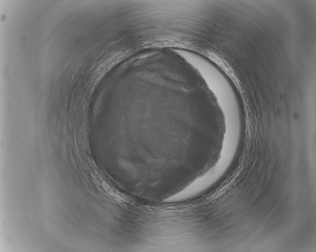 X0000058140481200510171406
