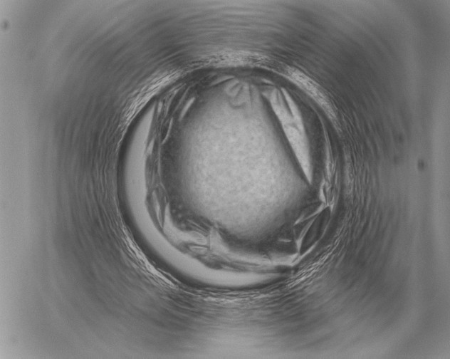 X0000058140485200510171406