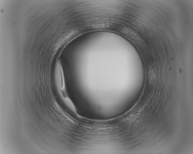 X0000058140490200510171406