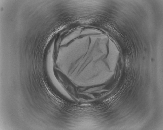 X0000058140492200510171406