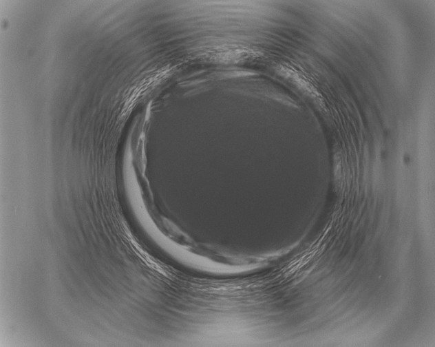 X0000058140493200510171406