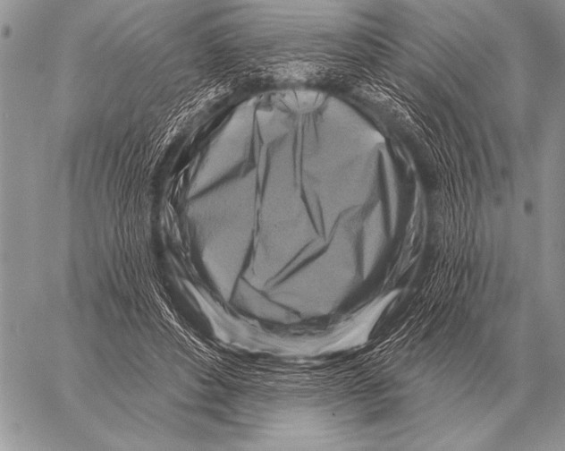 X0000058140496200510171406