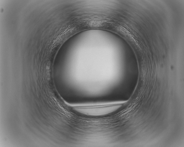 X0000058140497200510171406