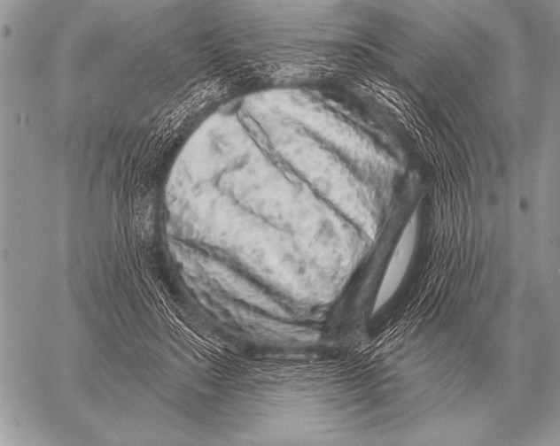 X0000058140499200510171406