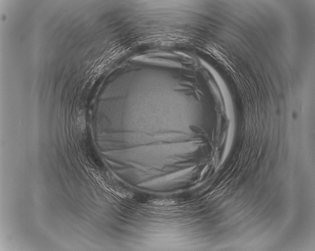 X0000058140500200510171406