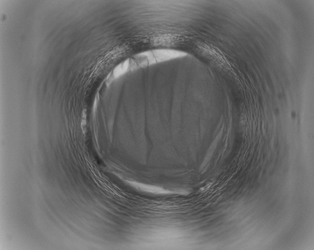 X0000058140502200510171406