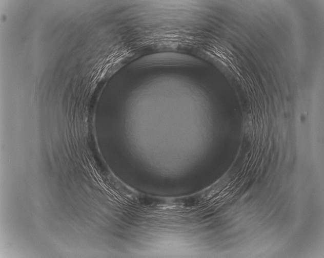 X0000058140504200510171406