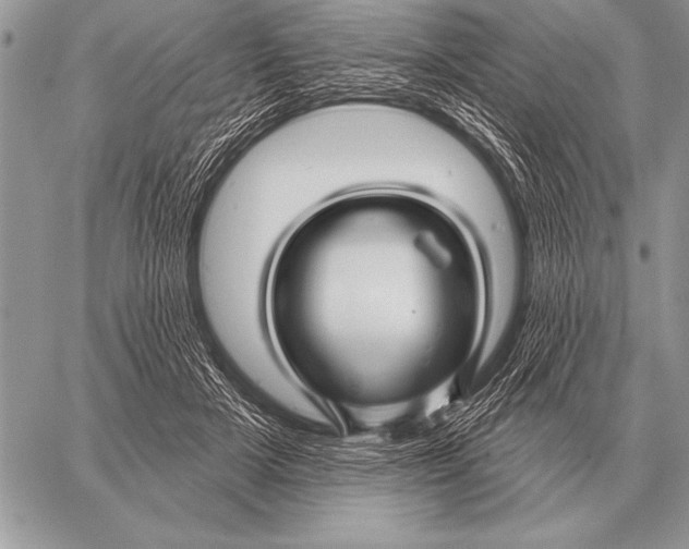 X0000058140505200510171406