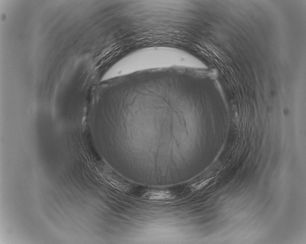 X0000058140507200510171406